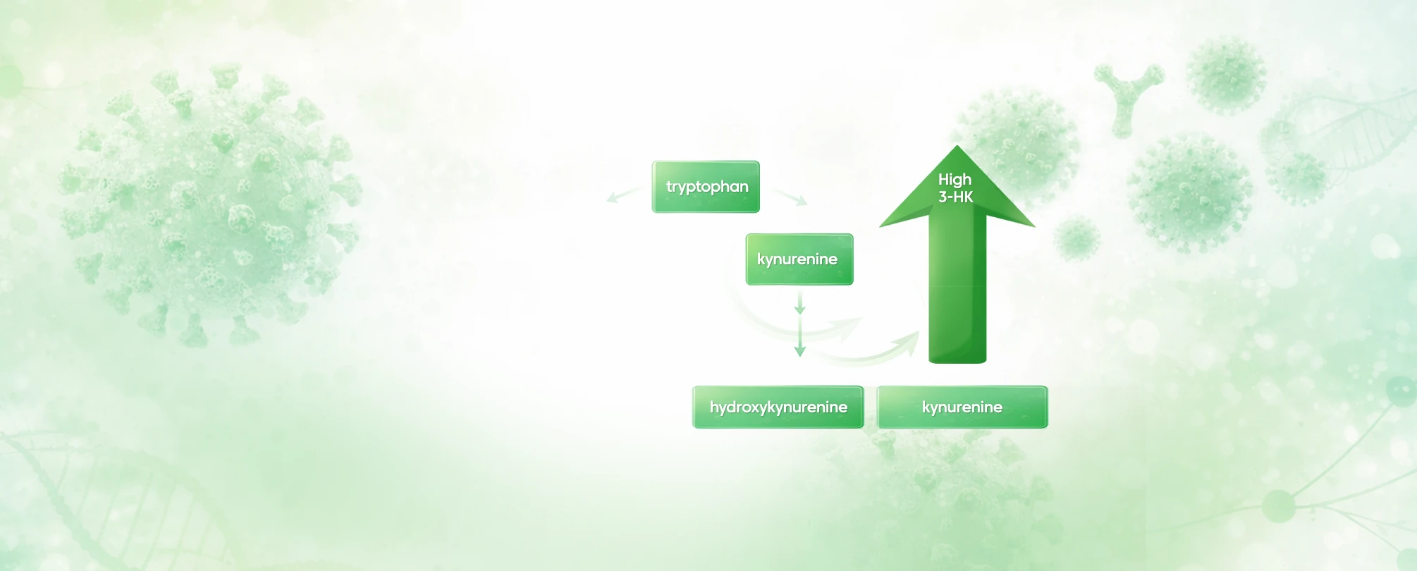 Kynurenine Pathway Metabolites